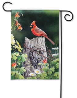 Cardinal Song Garden Flag